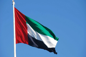 الكويت تحظر تصدير وإعادة تصدير مستلزمات فحص فيروس كورونا