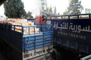 السورية للتجارة: استمرار استجرار وشراء الحمضيات من الفلاحين مباشرة