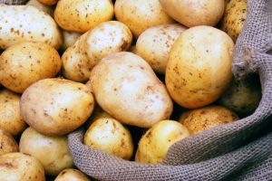 خزن السويداء سابقاً تبيع 80 طناً من البطاطا لتجار الجملة!