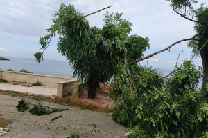 العاصفة تحتجز 150 شخص في اللاذقية.. مسؤول: هي الأقوى منذ عقود!