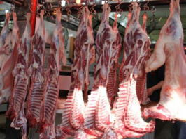  رئيس جمعية اللحامين يتوقع انخفاضاً في أسعار اللحوم 