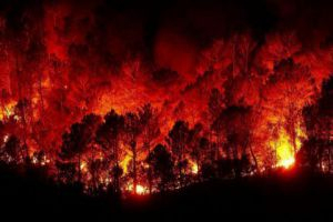 حريق ضخم بين منطقتي مصياف والغاب 