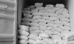 مؤسسة سكر حمص تنتج أكثر من 28 ألف طناً من السكر الأحمر