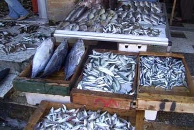  تعرفوا على أسباب ارتفاع أسعار الأسماك في سورية؟