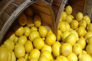 الليمون اللبناني يدخل تهريباً إلى أسواق سورية!
