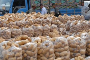 لجنة سوق الهال: الجمارك صادرت نحو 100 ألف طن من البطاطا!