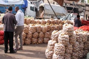 خبز الفقراء إلى 400 ليرة للكيلو..تجار البطاطا يبتزون الاقتصاد لاستيراد كميات إضافية!