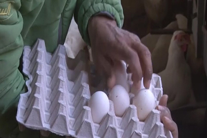 السوريون يكتوون بنيران الغلاء.. طبق البيض يرتفع 3000 ليرة خلال أسبوع و«الخير لقدّام»!