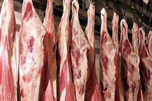 انخفاض سعر كيلو الخروف الحي 200 ليرة...وأسعار اللحوم الحمراء على حالها!