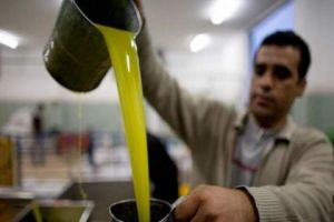 سورية نستعد لتصدير زيت الزيتون إلى إيران