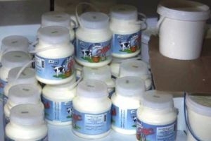 شركة ألبان حمص تشكو نقص الحليب وتهريبه للخارج