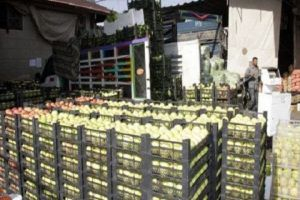 غرفة زراعة دمشق: سورية تصدر منتجات زراعية لأكثر من 40 بلداً