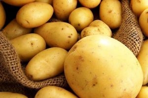 تاجر: الجمارك تصادر البطاطا على أنها مهربة وهي لا تملك أي دليل على ذلك!