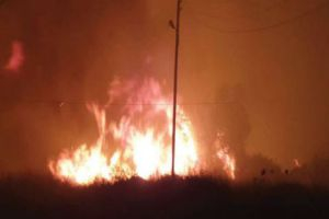 اندلاع 36 حريقاً في طرطوس التهمت مساحات هائلة من الأراضي