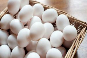 مؤسسة الدواجن: ارتفاع أسعار البيض أمر طبيعي