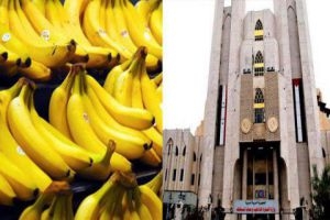 كما وعدت وزارة التموين...الموز في الأسواق السورية ولكن بـ800 ليرة للكيلو!