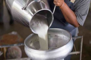 انخفاض واردات الحليب الخام بنسبة 60 بالمئة وتهريبه إلى لبنان