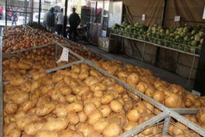 السورية للتجارة تطرح البطاطا بـ325 ليرة للكيلو في صالاتها