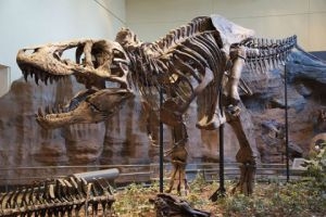 اكتشاف ديناصور في سورية...وعرضه سيكون في معرض دمشق الدولي