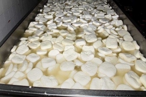 كيلو الحليب يصل لألف ل.س و البيضة لا تزال بـ200 ليرة سورية