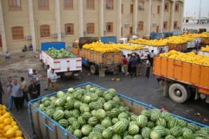 سورية تصدر 40 سـيارة براد من الخضر والفواكه إلى العراق يومياً