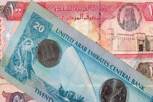الإمارات تكشف عن حجم استثماراتها الخارجية.. وتوقع على  أكبر صفقة لها على مر التاريخ مع مصر