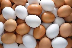 نحو 350 الف بيضة مهربة تدخل أسواق دمشق يومياً!