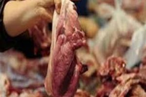الشؤون الصحية تضبط 100 كيلو غرام من اللحوم الفاسدة 