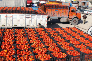  مباحثات « سوريّة مع سلطنة عُمان» لتصدير الخضر والفواكه وزيت الزيتون ومقايضتها بمواد غذائية