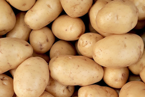 بعد تجاوز سعر  الكيلو الـ7 آلاف ليرة.. السورية للتجارة تطرح «البطاطا» بـ3500 ليرة في صالاتها 