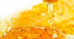 حماة تنتج أكثر من 144 طناً من العسل في عام واحد
