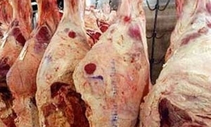 أسعار اللحوم في دمشق ترتفع بشكل جنوني.. والكيلو يقفز إلى 5500 ليرة