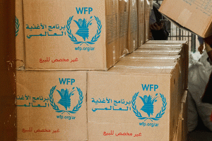 الأمم المتحدة: نحو 13 مليون سوري يعانون من انعدام الأمن الغذائي!
