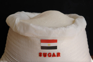 أزمة نقص مادة السكر تضرب مصر.. والحكومة تعد بحلّ سريع وضبط الأسواق خلال الأيام العشرة المقبلة