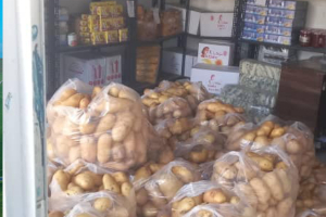 السورية للتجارة في حماة تطرح كميات من «البطاطا»بسعر 2500 ليرة للكيلو الواحد