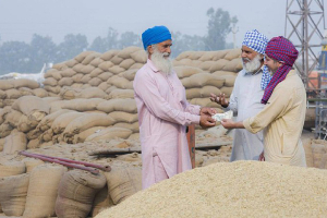 بعد تعهدها بـ «إطعام العالم».. الهند قد تُضطر لشراء القمح من الخارج