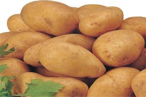 لكسر أسعار التجار...البطاطا في صالات السورية للتجارة إلى 230 ليرة للكيلو