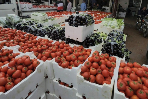 كيلو الخس أغلى من البطاطا في دمشق و«تحسن الطقس» يخفض سعر البندورة ألف ليرة