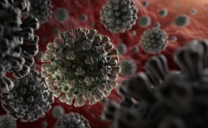 منظمة العمل الدولية تنشر قائمة بالقطاعات الأكثر تضرراً من فيروس كورونا.. تعرفوا عليها