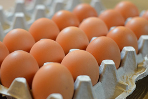 لأول مرة.. مصر تصدر بيض المائدة إلى البحرين