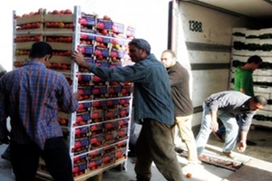   الصادرات الزراعية السورية متوقفة إلى لبنان.. بسبب توقيع وزير!!