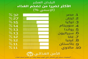 مصر ولبنان تتصدران القائمة..  الدول العشر الأكثر تضرراً من تضخم أسعار الغذاء على مستوى العالم