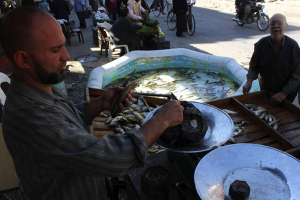 سورية تتوسع في استزراع الأسماك: الإنتاج يرتفع من ثلاثة إلى 10 آلاف طن