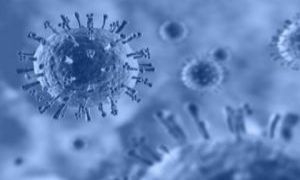 حماة تسجل 4 وفيات بإنفلونزا الخنازير