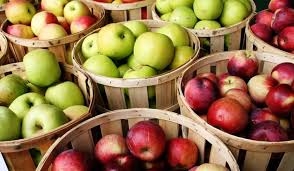 حسب التقديرات إنتاج حمص من التفاح سيصل إلى 125 ألف طن