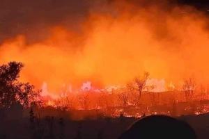 ما حقيقة وصول الحرائق إلى مصفاة بانياس؟ 