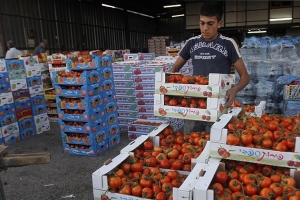 اتحاد غرف التجارة: ازدياد صادرات الخضر والفواكه إلى العراق والخليج