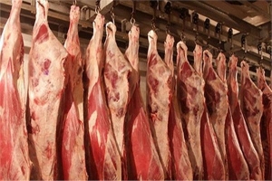 ارتفاع أسعار اللحوم رغم تدني الطلب عليها