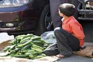 وزارة الشؤون الاجتماعية تبين أسباب انتشار عمالة الأطفال في سورية