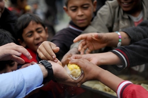 تقرير رسمي : 80% من الأسر السورية تكافح لمواجهة الجوع ونقص الغذاء